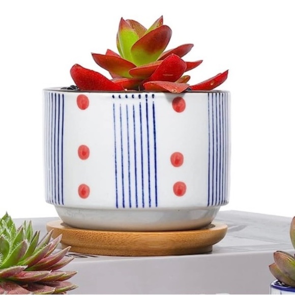 Glazed Ceramic Succulent Planter Pot - Picture 6 of 10
